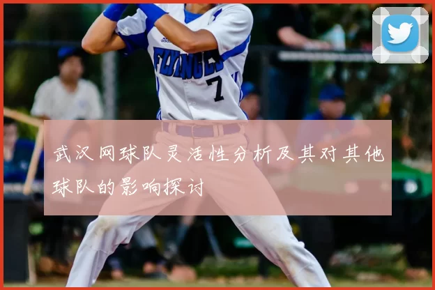 武汉网球队灵活性分析及其对其他球队的影响探讨