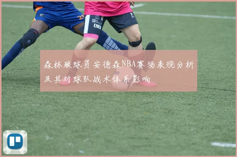 森林狼球员安德森NBA赛场表现分析及其对球队战术体系影响