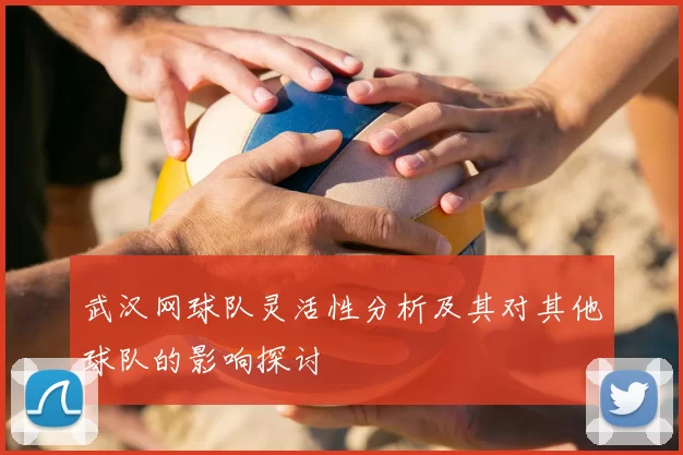 武汉网球队灵活性分析及其对其他球队的影响探讨