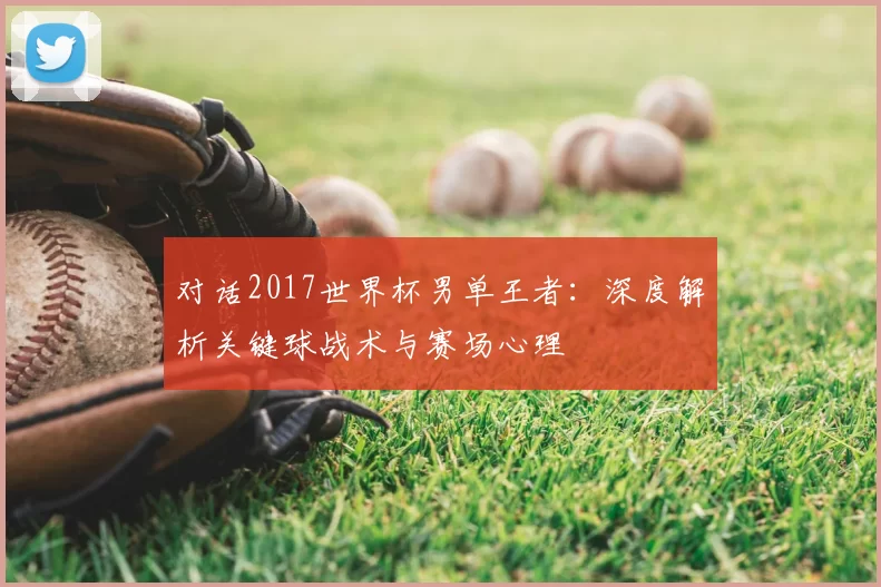 对话2017世界杯男单王者：深度解析关键球战术与赛场心理