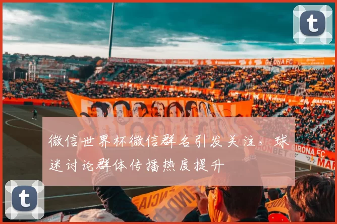 微信世界杯微信群名引发关注,球迷讨论群体传播热度提升