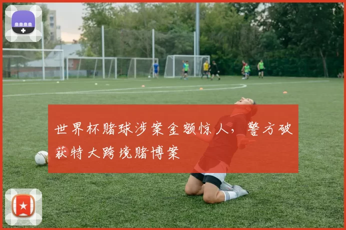 世界杯赌球涉案金额惊人，警方破获特大跨境赌博案
