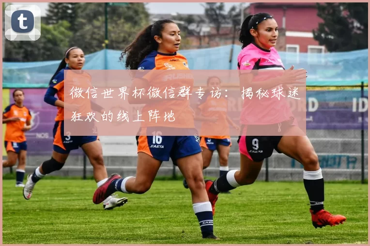 微信世界杯微信群专访:揭秘球迷狂欢的线上阵地
