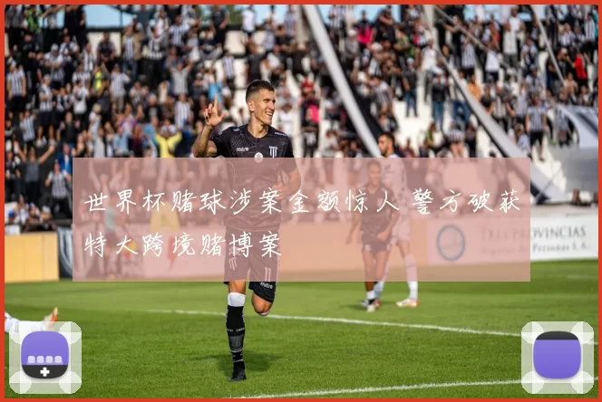 世界杯赌球涉案金额惊人 警方破获特大跨境赌博案