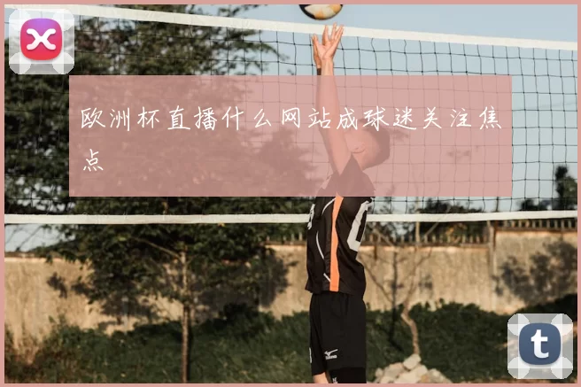 欧洲杯直播什么网站成球迷关注焦点
