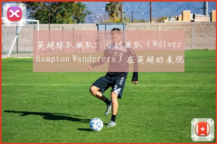 英超球队狼队：分析狼队（Wolverhampton Wanderers）在英超的表现。