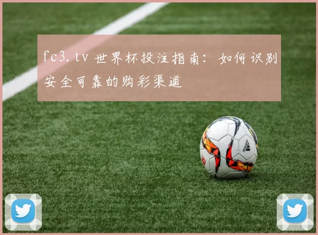 fc3.tv 世界杯投注指南：如何识别安全可靠的购彩渠道