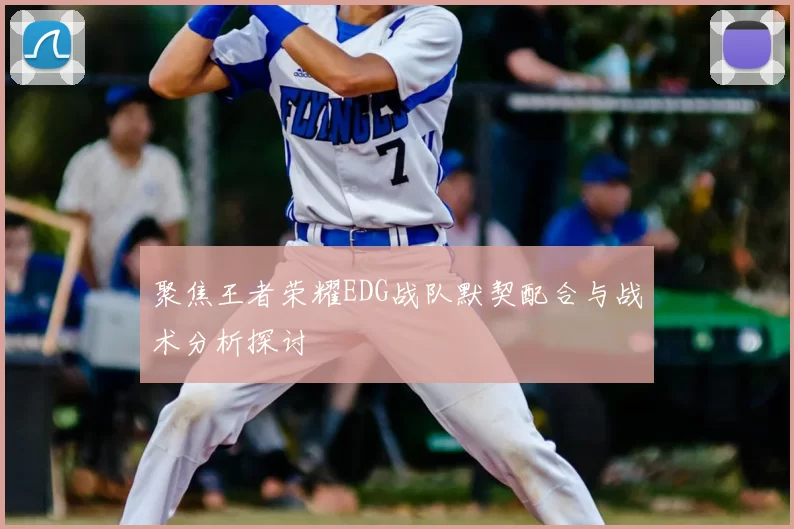 聚焦王者荣耀EDG战队默契配合与战术分析探讨