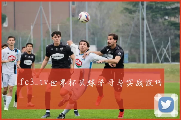 fc3_tv世界杯买球学习与实战技巧